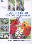 Watercolor Colors of Flowers เทคนิคการเขียนภาพสีน้ำดอกไม้