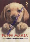 Puppy Mania วิธีสร้างรอยยิ้มร่วมกับลูกสุนัขแสนรักของคุณ